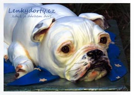 Buldog dort